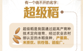 新华社权威速览丨30年，这粒种子守护大国粮仓