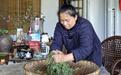 “那山那人那茶”：女子痴守深山古茶9年，把“野叶子”做成千元一斤的好茶丨红星特稿