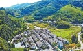 山绿了，日子越过越美（身边的净土保卫战）