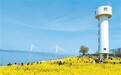 长江畔，百里生态廊道变“宽”了（美丽中国）