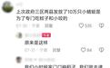 银川林业局辟谣“投放10万只蜻蜓灭蚊”：夏季蜻蜓增多与降雨及生态环境变好有关