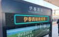 1小时46分直达林海！哈伊高铁带火国庆“森林游”，热门时段车票紧俏