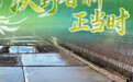 沃野春耕正当时(4)
