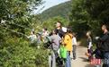 打板栗、摸鱼虾、住山居，谷城乡村“野趣”玩法上新