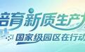 培育新质生产力 国家级园区在行动丨千行百业发力“三支箭”五龙赛马进位“三连升”——佛山高新区“二次创业”锻造湾区“极点引擎”