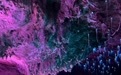 江浙沪好玩的乐园就它了！“上天入地”一站式，玩一天不想走