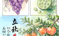 图说节令丨于草木花果间邂逅立秋的温柔(4)
