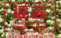为博关注发布不实信息，广西一网民被拘留5天