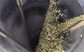 重庆永川：智能化制茶助力乡村振兴(5)