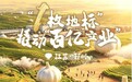 邳州大蒜：“一枚地标”撬动“百亿产业”