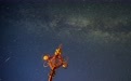 星空相册丨天琴座流星雨迎来极大(3)#