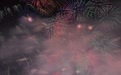 华盛顿燃放焰火庆祝美国建国250周年