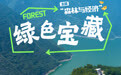 国际森林日丨绿色宝藏(8)