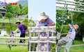 贝因美×2026杭州迷你亚运会｜小红条液体钙燃爆酷跑嘉年华，联名引爆“运动+营养”新浪潮