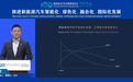 李斌：行业进入“快迭代陷阱”，降本关键在标准化与归一化