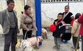 贵州山村小学24名学生获奖小猪，抓阄分配现场牵走；由支教老师募资购买，家长请他年底来吃猪肉