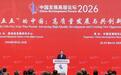 2026中国发展高层论坛 “德系三巨头”在华战略集体OTA