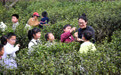 春假研学收获多(6)