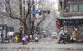 新春伊始迎降雪(2)#