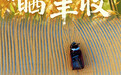 美丽中国丨“晒”丰收