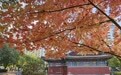 北京秋渐浓(1)