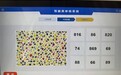 驾照体检色盲图识别24人仅6人答对：连AI也过不了关