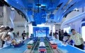 2026年中国国际服务贸易交易会迎来公众开放日(17)