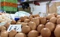 全国蛋价狂飙！北京鸡蛋杀入6元时代，盒马、奥乐齐都在涨价，有批发商直言“一天一价”