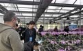 外媒记者在黑土地上见证农业“智”变 (2)