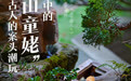 奶奶级的盆景巴掌大小，“天山童姥”是怎么做出来的？