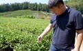 八闽青春正奋楫——福建青年为中国式现代化挺膺担当见闻(5)