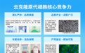 云克隆：全链条自研铸就硬核实力，领跑全球原代细胞主流市场