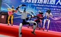 新华全媒头条｜为全球发展注入更多正能量和确定性——从第二十六届投洽会看双向投资新机遇 (4)