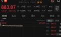 宇树科技上市暴涨超480%！红杉中国“赢麻了”，李彦男大抖内幕：没有名校资源，老师曾劝王兴兴放弃机器人方向