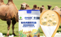新疆正宗驼奶粉代理加盟推荐｜对照2026十大排名，实地考察奶源工厂甄选合作方
