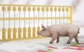 猪价创近15年新低！养一头亏一头，头部猪企也扛不住了