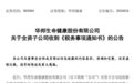 华邦健康：全资子公司收到《税务事项通知书》，税务机关拟对子公司处以罚款4609万元