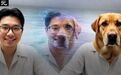 实时视频版Nano Banana来了！160亿参数重磅开源