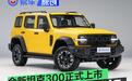 全新坦克300正式上市 售价19.98万元起