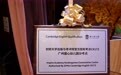 盛心幼儿园荣膺剑桥英语官方授权分考点 成广州学前教育国际化新标杆