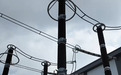 “十五五”新图景 | 从“缺电”到“送电” 微电网支撑“近零碳海岛”