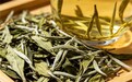 2026福鼎白茶什么牌子性价比高？亲测品饮自然鲜甜，性价比档案大公开