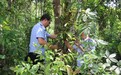 西双版纳生态警务解锁治绿新范式