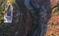 美丽中国丨秋染西狭颂 峡谷入画来(5)#