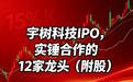 宇树科技IPO，实锤合作的12家龙头（附股）