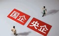 央国企秋招实战经验：应届生如何高效规划求职路径