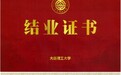3年增长42倍 FDE岗位迎来人才红利时代