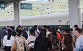 超1600万人次，增长5%！全方位便利旅客出行 中老铁路为沿线区域发展赋能蓄力