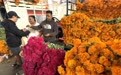 墨西哥城鲜花迎接亡灵节(4)