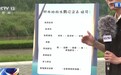 视频丨从“孤羽”到“万翔” 朱鹮全球种群已超1.2万只